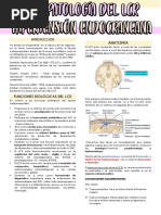 Hipertensión Endocraneana