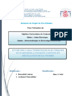 Pfe Rapport FINALE