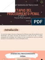 Etapas Del Procedimiento Penal