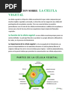 Informacion Sobre La Celula Vegetal 22222222222222