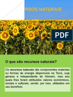 Classificação Dos Recursos Naturais