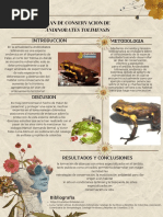 Conservacion de Andinobates Tolimensis - Poster