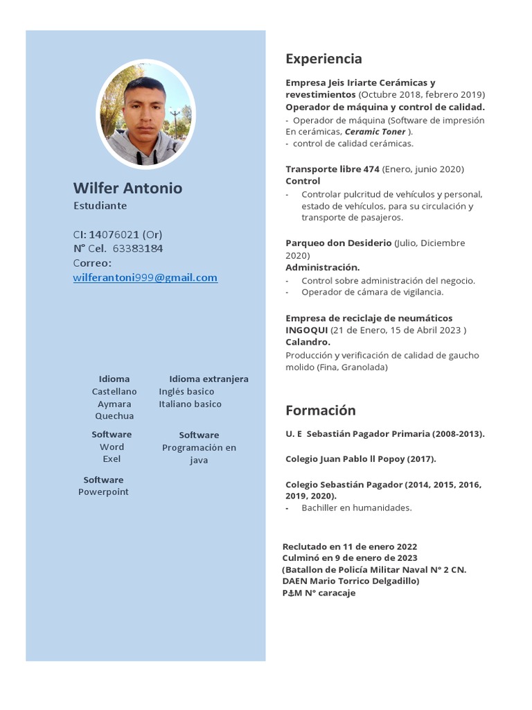 Plantilla CV 2 ConsultoraInsight | PDF