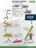 Desert Locust Gregarious Lifecycle FINAL