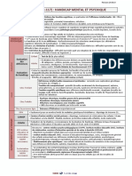 Item-R2c 121 (Ex-117) - Handicap Mental Et Psychique