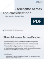 Why Classify Intro Slides2