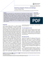 Targeting Cancer With Antibody-Drug Conjugates