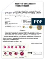 Crecimiento y Desarrollo Craneofacial, Clase 1