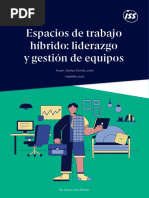 Espacios Trabajo Hibrido Liderazgo Gestion