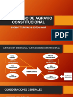 PPTS Constitucional