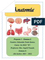 Anatomia. Proyecto 1. Sebastian Toala.