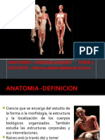 Generalidades de Anatomia Humana