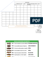 Fase 2 Dieta Baja en Fodmaps