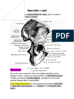 Hueso Iliaco o Coxal