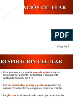 Clase No.7 Respiracion Celular