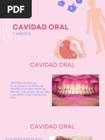 Cavidad Oral