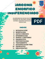 Sarcoma Plemorfico Indiferenciado - 1