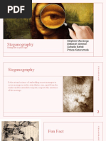 Steganography