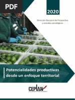 CEPLAN - Potencialidades Productivas Desde Un Enfoque Territorial