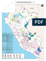 Mapa de Pueblos Indígenas - 6