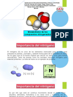 Metabolismo de Compuestos Nitrogenados 01