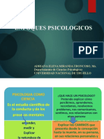 Enfoques Psicologicos I