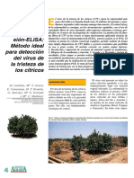 Inmunoimpresión-Elisa - Método Ideal para La Detección Del Virus de La Tristeza de Los Cítricos
