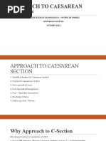 Approach To Caesarean Section