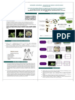 Ciclo de La Enfermedad: Introducción