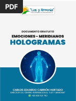 PDF Hologramas Luz y Armonia Peru Compress