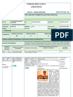 Renato Decimo - Planificación - Proyecto - 2022 - Microcurricular Por Parcial