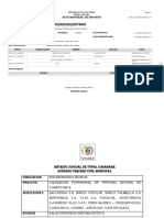 Document - Auto Liquidacion Patrimonial Dalia Santana