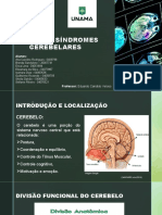 Ataxias e Sindromes Cerebelares Apresentaçao 2