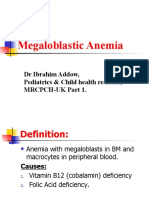 Megaloblastic Anemia