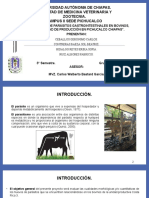 P.I 3°a"diagnóstico de Parásitos Gastrointestinales en Bovinos