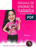 Apostila Processo Do Trabalho - Schamky Arrasa PDF