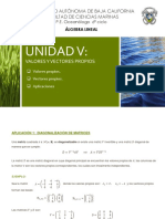 UNIDAD 5 - VALORES VECTORES PROPIOS - Aplicación