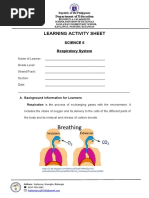 Respiratory System