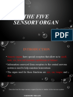 The Five Sensory Organ