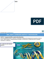 Tema 3 Transcripción Genética