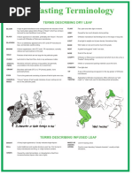 Tea Tasting Terminology Web v2