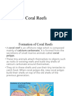 Coral Reefs