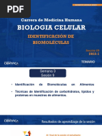 Biología Celular-Identificación de Biomoléculas en Alimentos-3-16