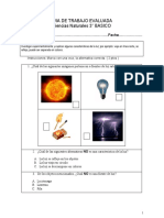 Evaluacion de Luz Tercero Basico