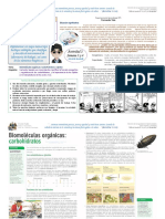 Biomoleculas