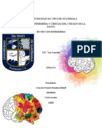 Univercidad Da Vinci de Guatemala