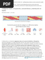 Colágenos - Tipos, Composición, Características y Distribución en Tejidos