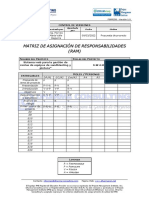 Matriz de Asignación de Responsabilidades (RAM)