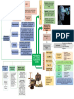 Fundamentos de La Lógica y Conceptos Claves