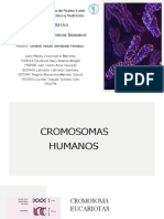 4 PPT. Cromatina y Cromosomas Humanosequipo 6